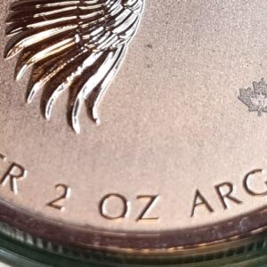 2020 2 oz Silver Canadian Goose Coin .9999 Fine Bullion - Image 5