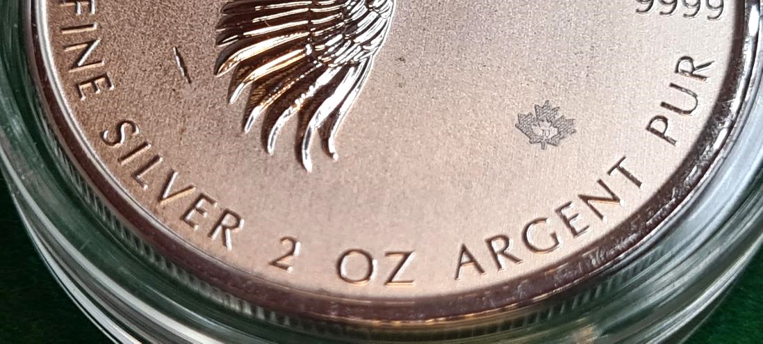 2020 2 oz Silver Canadian Goose Coin .9999 Fine Bullion - Image 5