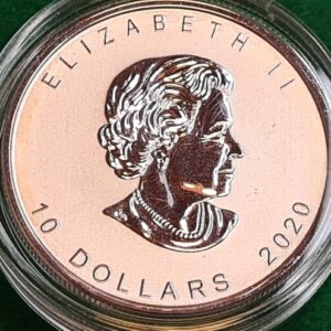 2020 2 oz Silver Canadian Goose Coin .9999 Fine Bullion - Image 6