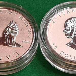 Alternative view of 2020 2 oz Silver Canadian Goose Coin  .9999 Fine Bullion