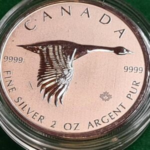 2020 2 oz Silver Canadian Goose Coin .9999 Fine Bullion