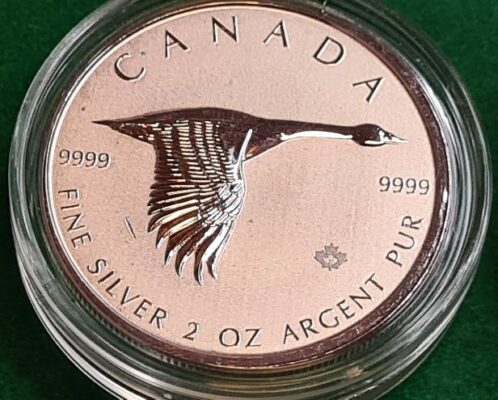 2020 2 oz Silver Canadian Goose Coin  .9999 Fine Bullion