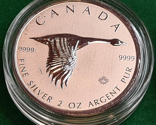 2020 2 oz Silver Canadian Goose Coin .9999 Fine Bullion