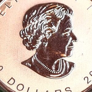 2020 2 oz Silver Canadian Goose Coin .9999 Fine Bullion - Image 7