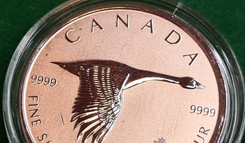 2020 2 oz Silver Canadian Goose Coin .9999 Fine Bullion - Image 8