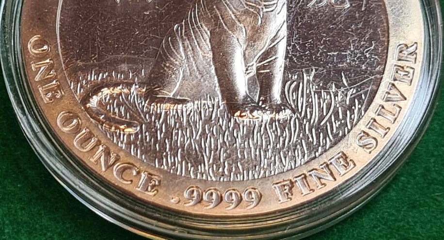 Baird and Co. 1oz Silver Round Lunar Tiger 9999 - Image 5