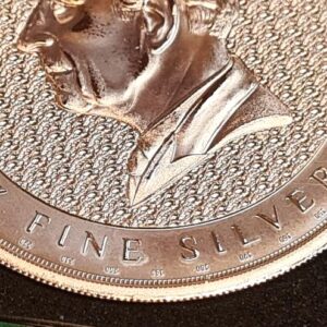 Assange is Free Wikileaks Terra 1 Oz Silver Coin 047/100 limited - Image 4