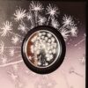 Make a Wish Dandelion 1 oz Silver Coin Le Grand Mint Limited 555