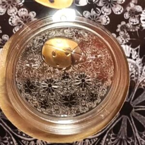 Alternative view of 2024 Éntoma Ladybird 1 oz Silver (Ultra-High Relief with Ruthenium plating and selective Gold plating).