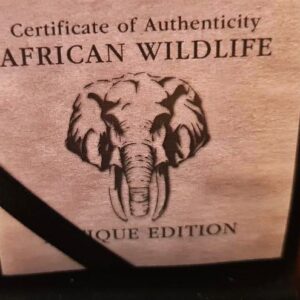 2015 Somalia African Wildlife Elephant 1 oz Silver Antique Coin (In Wooden Box) - Image 4