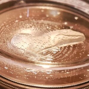2023 Cameroon Herpeton Gecko 1oz Silver Proof Ultra High Relief Coin