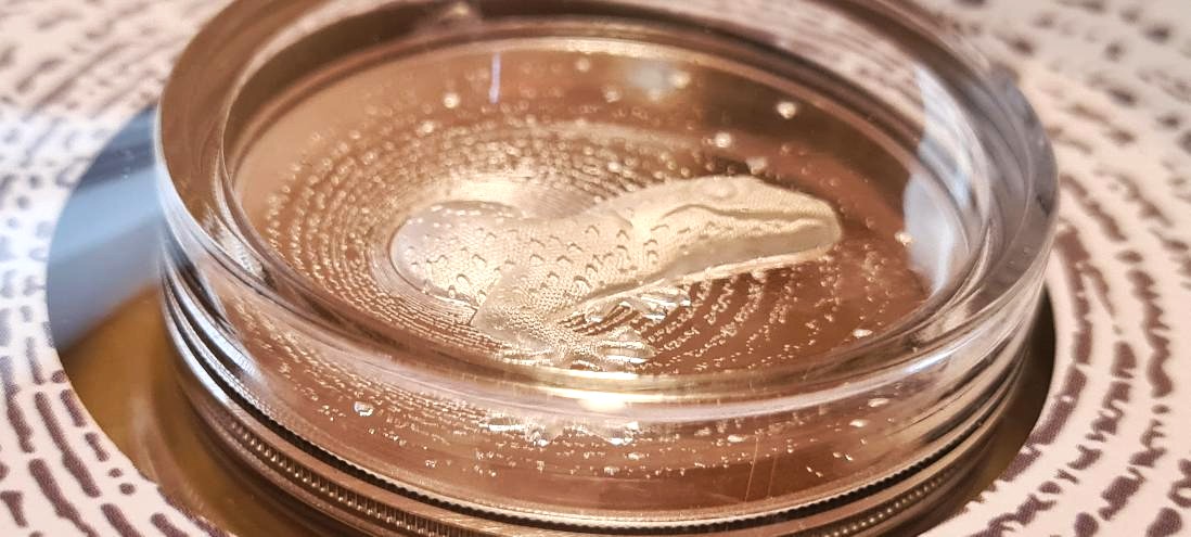 2023 Cameroon Herpeton Gecko 1oz Silver Proof Ultra High Relief Coin
