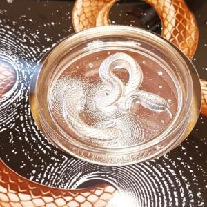 2024 Cameroon Herpeton Snake 1oz Silver Proof Ultra High Relief Coin