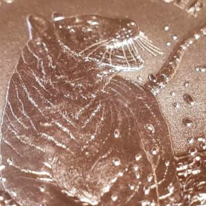 2020 Australia Zoo Sumatran Tiger 1oz Silver Bullion Coin