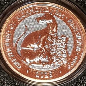Royal Tudor Beasts 2oz Silver BU 9 Coin Collection (2022–2026) in Custom Presentation Box - Image 3